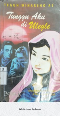 Image of TUNGGU AKU DI ULEGLE